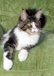 Xiaolin Hammamet Yasmine