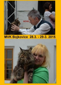 MVK Bojkovice