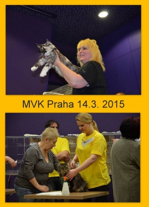 MVK Praha - hotel DAP