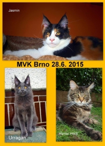 MVK BRNO 