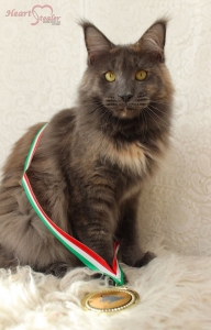 Gratulace do Maďarska !!!!