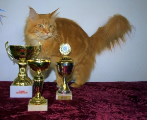 Ullince je 9 let !!!!