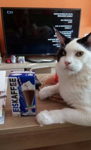 Není nad chladivé osvěžení