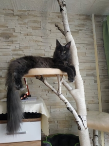 ... a dnes nám napsal Alfredek