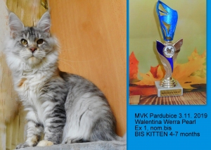 MVK Pardubice 3.11. 2019