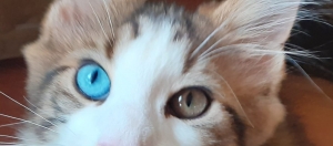 Sny se plní nejen o Vánocích :-) 