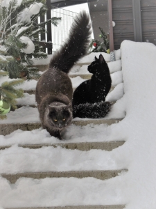 Pohoda v Praze