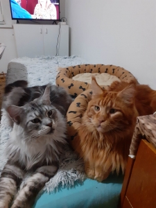 Kluci jako buci :-) 