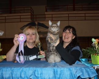 Výstavy