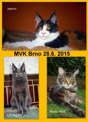 MVK BRNO