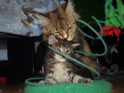 Představujeme Vám našeho benjamínka 