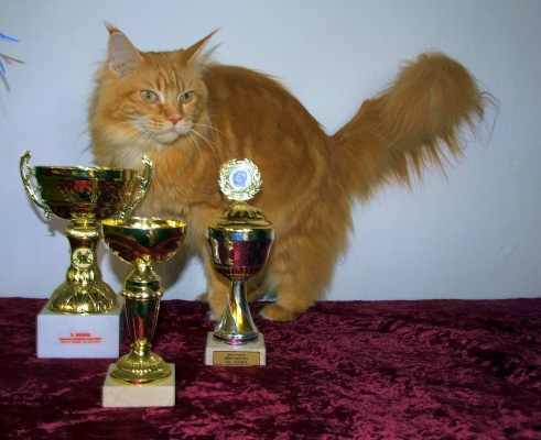 Ullince je 9 let !!!!