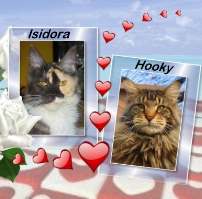 Isinka je maminkou !!!