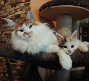 Co dělat, když je venku zima ?